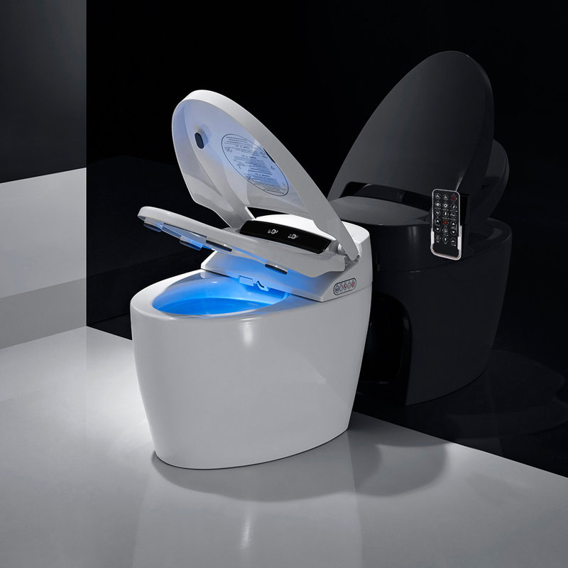 XSIX Smart Bidet Elongated Toilet Bidet, Warm Water Clear, Auto Flush